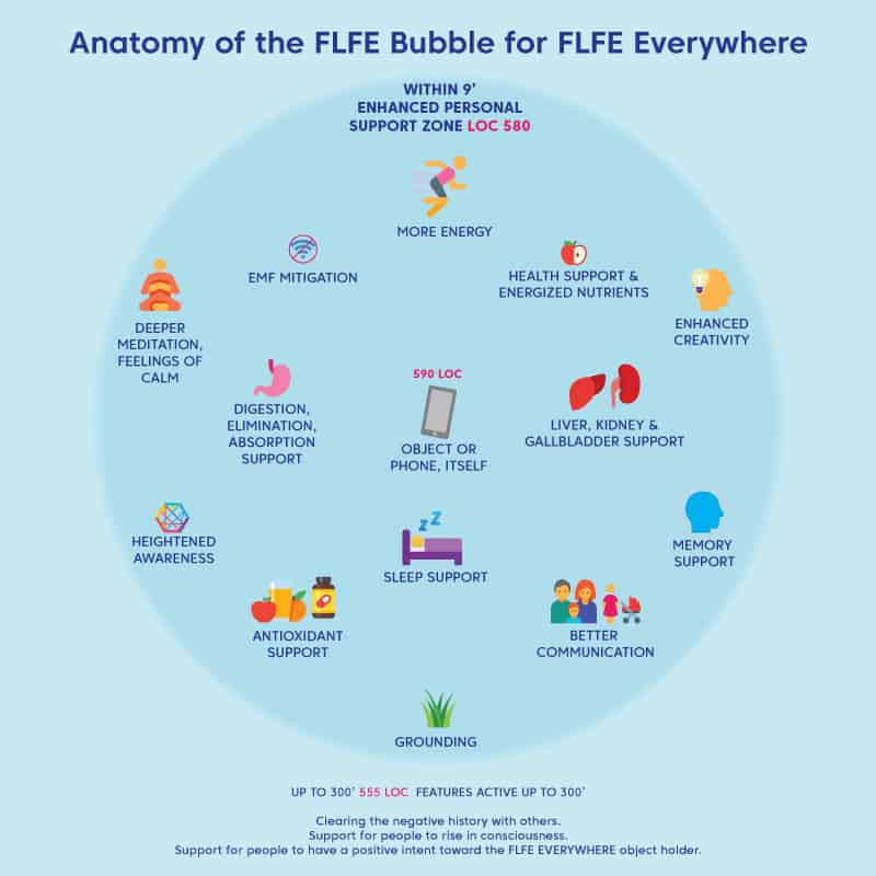 Infographic Anatomy of the FLFE Bubble v 12 2021