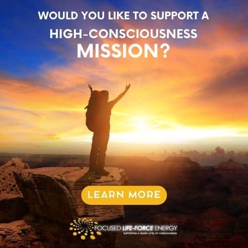 Support the FLFE mission