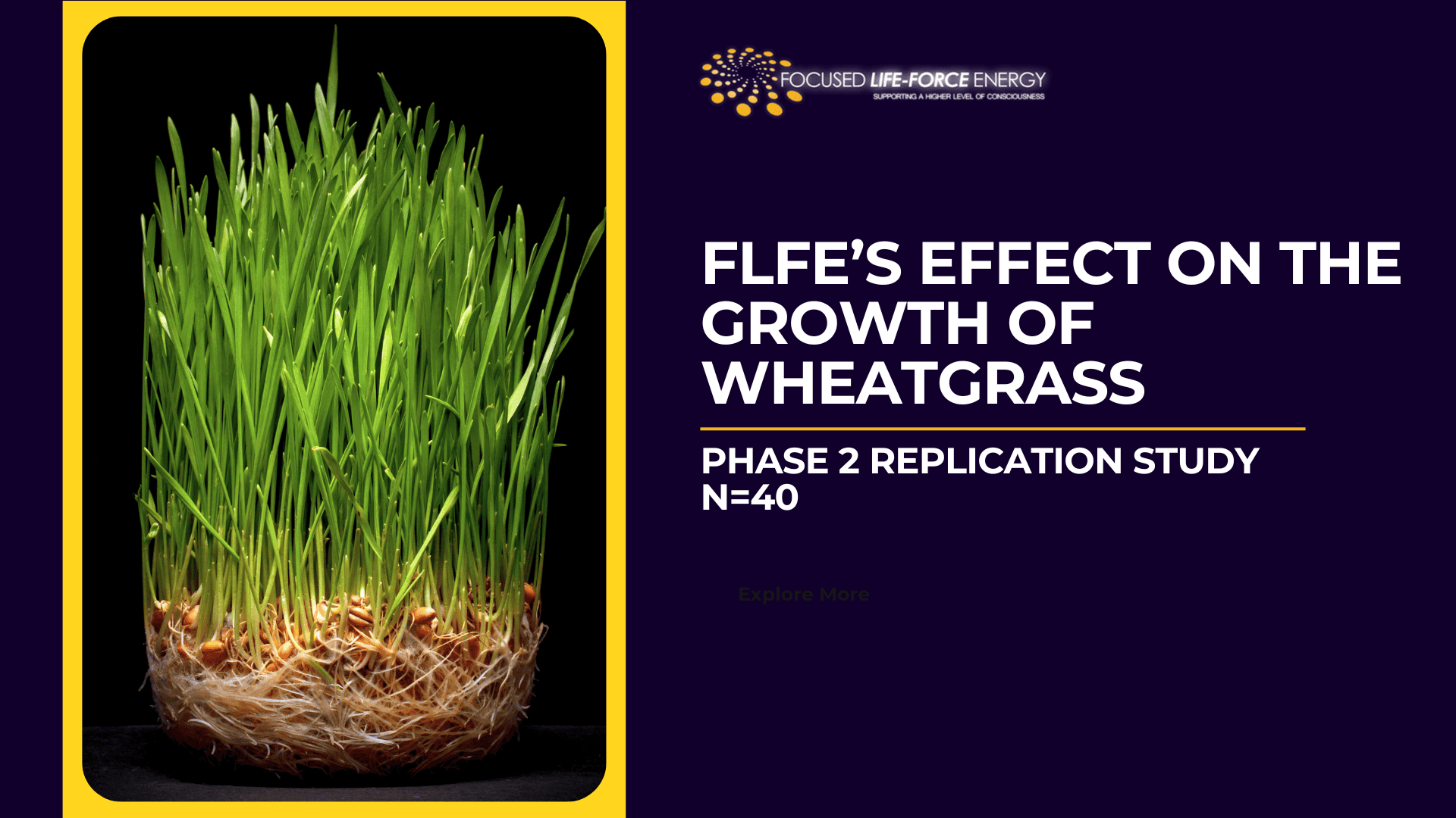 Wheatgrass plant research