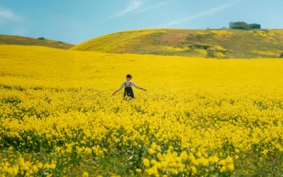 Activate Your Vision. Amplify Your Life.